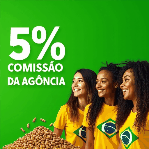 333bet1